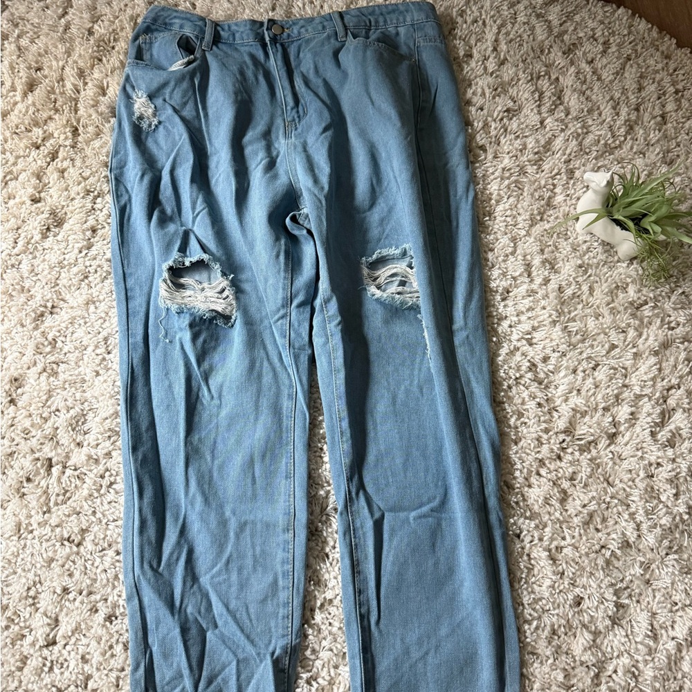 Shein Curve Blue Denim Jeans